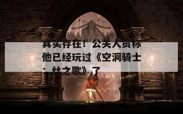 真实存在！公关人员称他已经玩过《空洞骑士：丝之歌》了