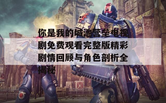 你是我的城池营垒电视剧免费观看完整版精彩剧情回顾与角色剖析全揭秘