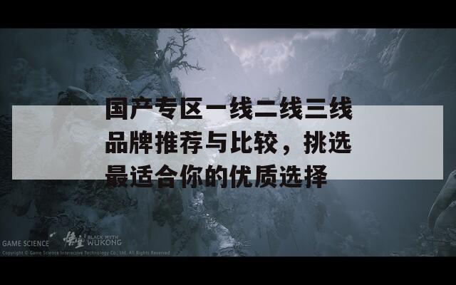 国产专区一线二线三线品牌推荐与比较，挑选最适合你的优质选择  第1张