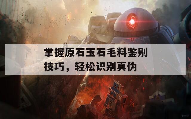掌握原石玉石毛料鉴别技巧，轻松识别真伪