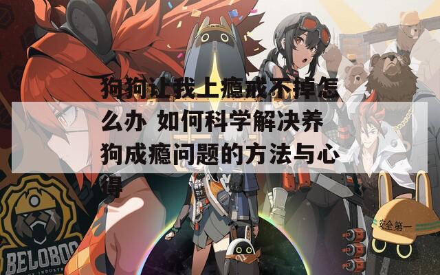 狗狗让我上瘾戒不掉怎么办 如何科学解决养狗成瘾问题的方法与心得