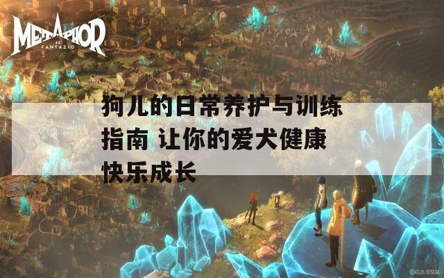 狗儿的日常养护与训练指南 让你的爱犬健康快乐成长