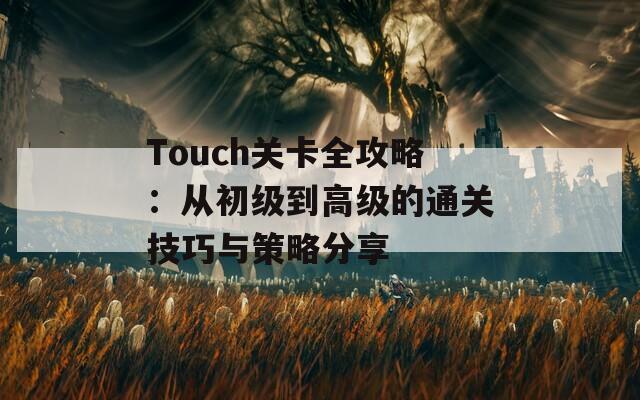 Touch关卡全攻略：从初级到高级的通关技巧与策略分享