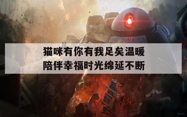 猫咪有你有我足矣温暖陪伴幸福时光绵延不断