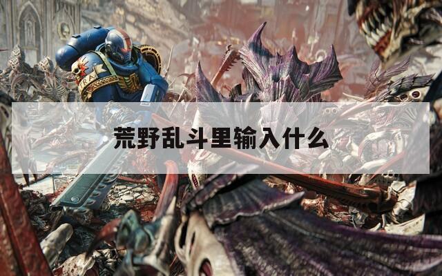 荒野乱斗里输入什么