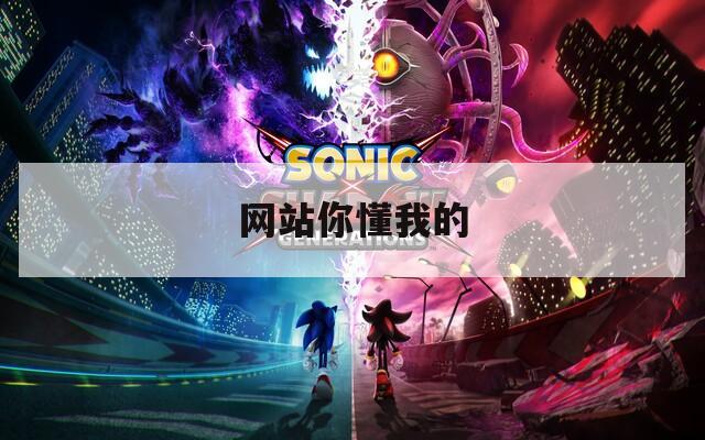 网站你懂我的