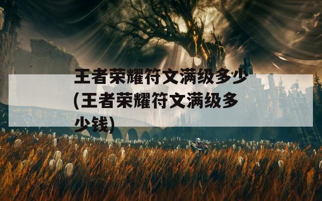 王者荣耀符文满级多少(王者荣耀符文满级多少钱)