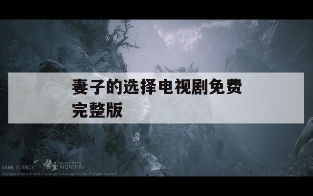 妻子的选择电视剧免费完整版