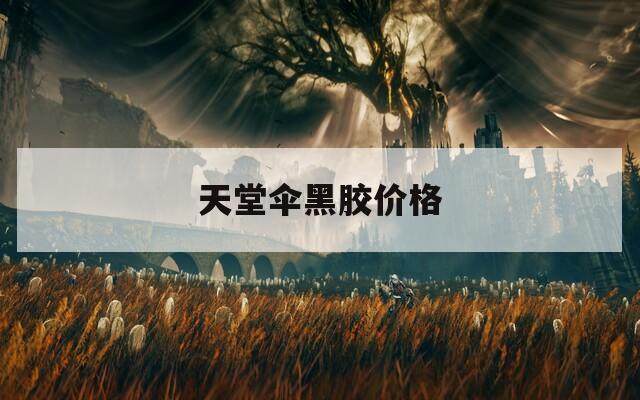 天堂伞黑胶价格  第1张