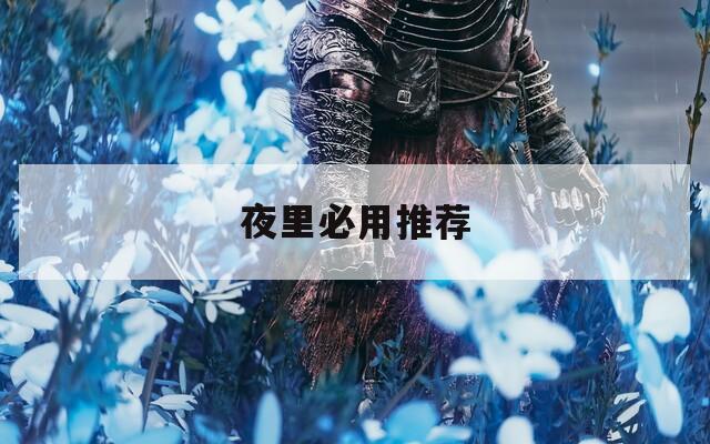夜里必用推荐