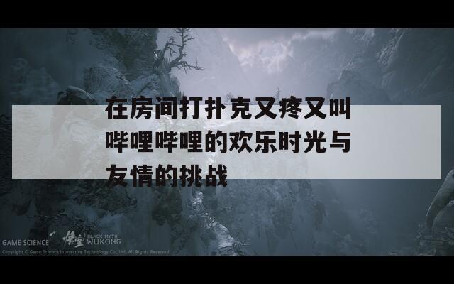 在房间打扑克又疼又叫哔哩哔哩的欢乐时光与友情的挑战  第1张