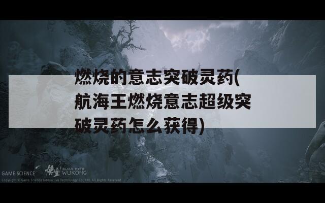燃烧的意志突破灵药(航海王燃烧意志超级突破灵药怎么获得)