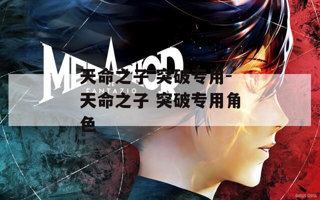 天命之子 突破专用-天命之子 突破专用角色  第1张