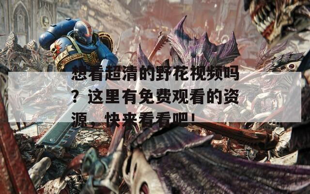 想看超清的野花视频吗？这里有免费观看的资源，快来看看吧！