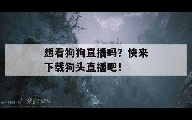 想看狗狗直播吗？快来下载狗头直播吧！