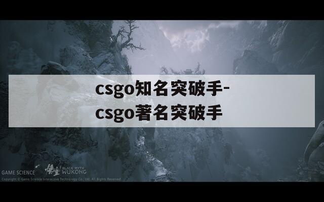 csgo知名突破手-csgo著名突破手  第1张