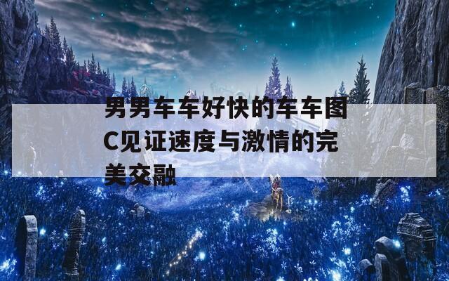 男男车车好快的车车图C见证速度与激情的完美交融