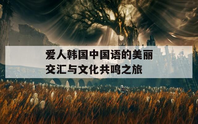 爱人韩国中国语的美丽交汇与文化共鸣之旅