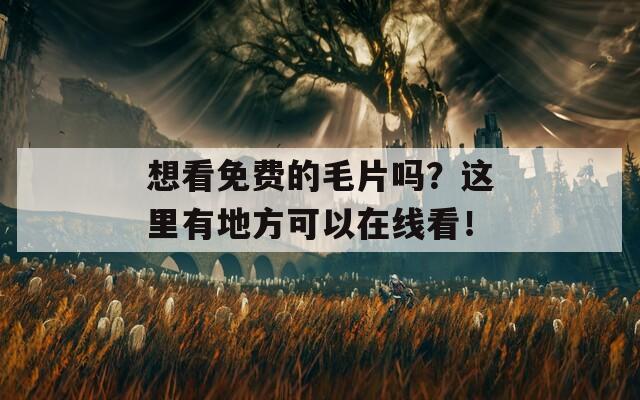 想看免费的毛片吗？这里有地方可以在线看！