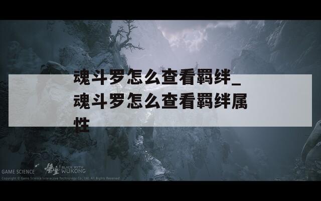 魂斗罗怎么查看羁绊_魂斗罗怎么查看羁绊属性  第1张