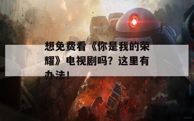 想免费看《你是我的荣耀》电视剧吗？这里有办法！  第1张