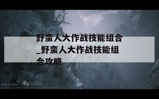 野蛮人大作战技能组合_野蛮人大作战技能组合攻略