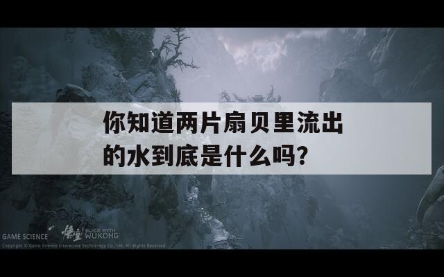 你知道两片扇贝里流出的水到底是什么吗？  第1张