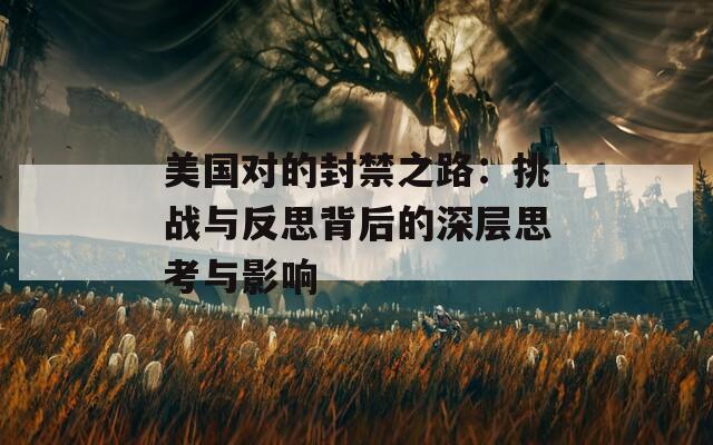 美国对的封禁之路：挑战与反思背后的深层思考与影响