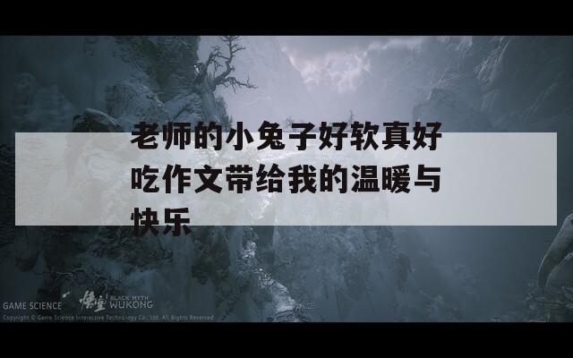 老师的小兔子好软真好吃作文带给我的温暖与快乐