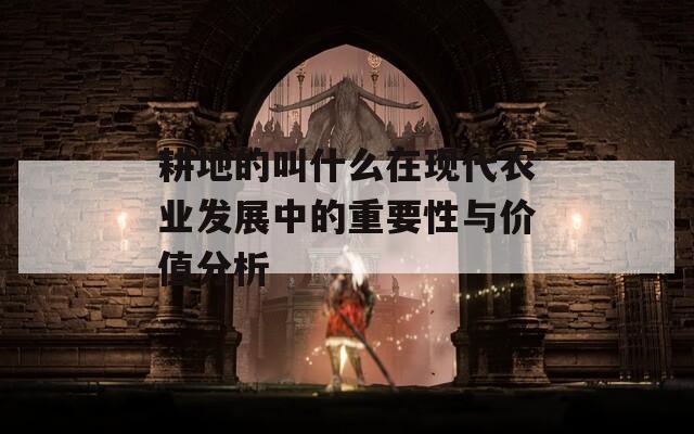 耕地的叫什么在现代农业发展中的重要性与价值分析