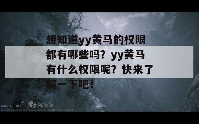 想知道yy黄马的权限都有哪些吗？yy黄马有什么权限呢？快来了解一下吧！  第1张