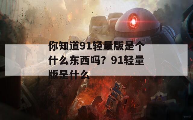 你知道91轻量版是个什么东西吗？91轻量版是什么