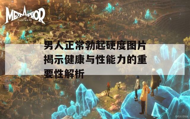 男人正常勃起硬度图片揭示健康与性能力的重要性解析