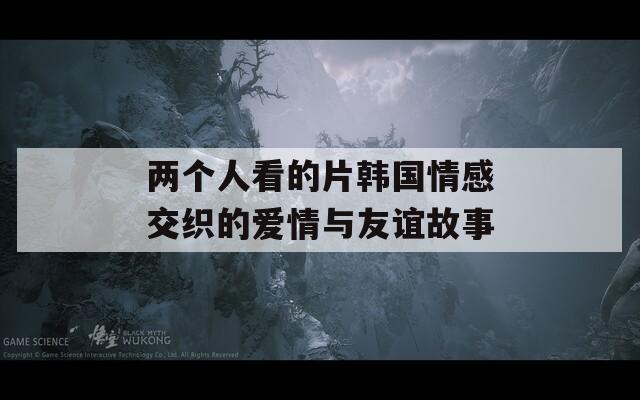 两个人看的片韩国情感交织的爱情与友谊故事