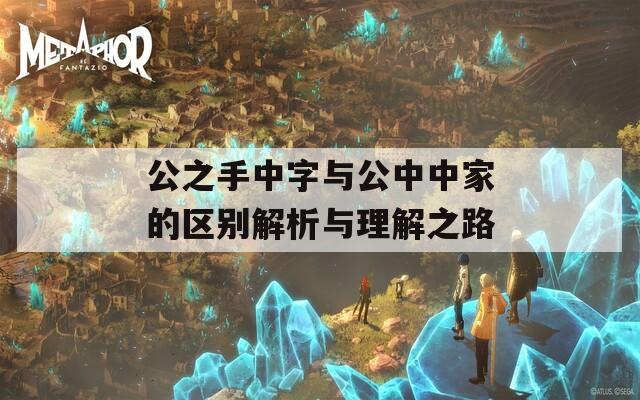 公之手中字与公中中家的区别解析与理解之路