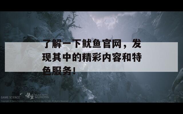 了解一下鱿鱼官网，发现其中的精彩内容和特色服务！  第1张
