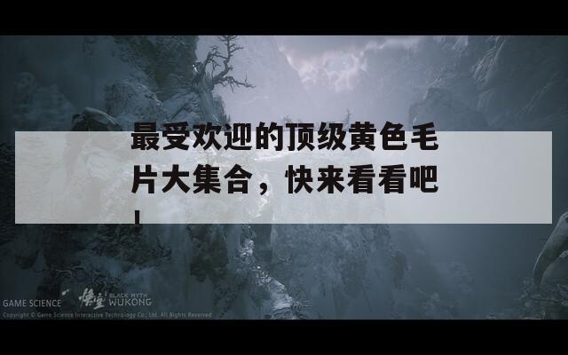 最受欢迎的顶级黄色毛片大集合，快来看看吧！