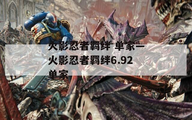 火影忍者羁绊 单家—火影忍者羁绊6.92单家