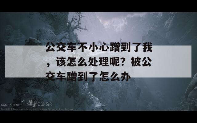 公交车不小心蹭到了我，该怎么处理呢？被公交车蹭到了怎么办