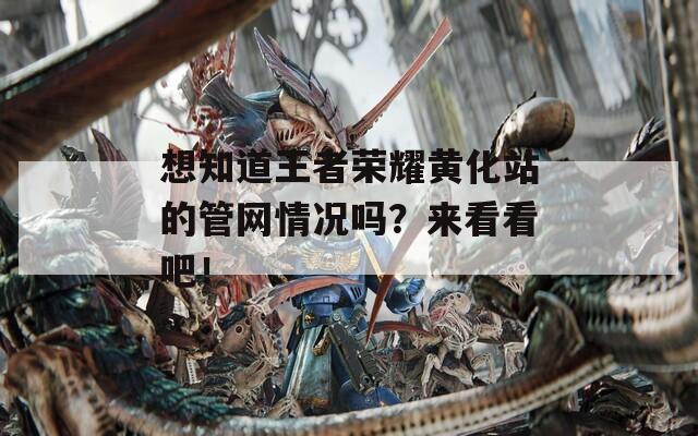 想知道王者荣耀黄化站的管网情况吗？来看看吧！