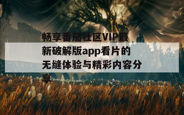 畅享番茄社区VIP最新破解版app看片的无缝体验与精彩内容分享  第1张
