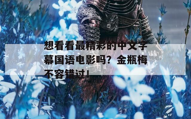 想看看最精彩的中文字幕国语电影吗？金瓶梅不容错过！
