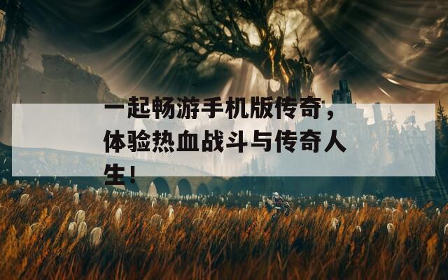 一起畅游手机版传奇，体验热血战斗与传奇人生！