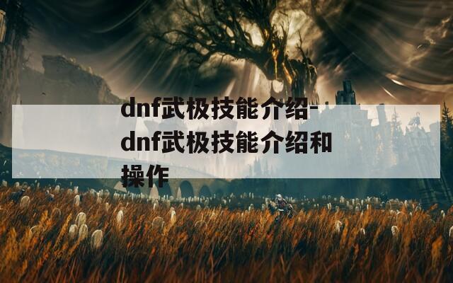 dnf武极技能介绍-dnf武极技能介绍和操作