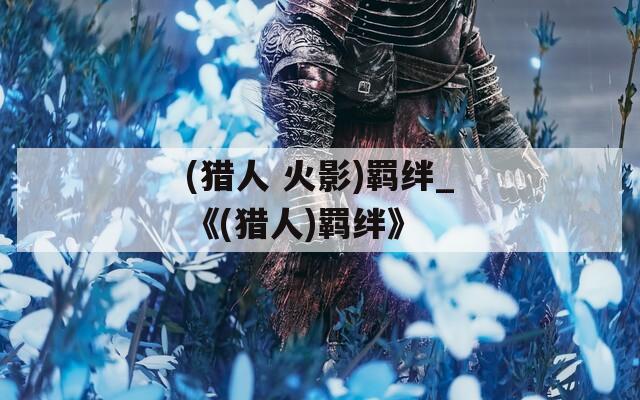 (猎人 火影)羁绊_《(猎人)羁绊》