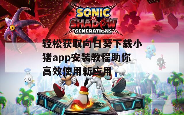 轻松获取向日葵下载小猪app安装教程助你高效使用新应用
