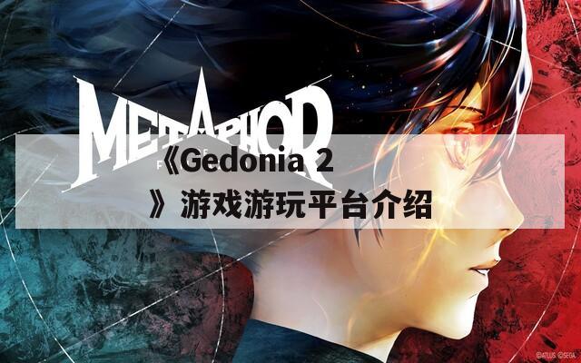 《Gedonia 2》游戏游玩平台介绍