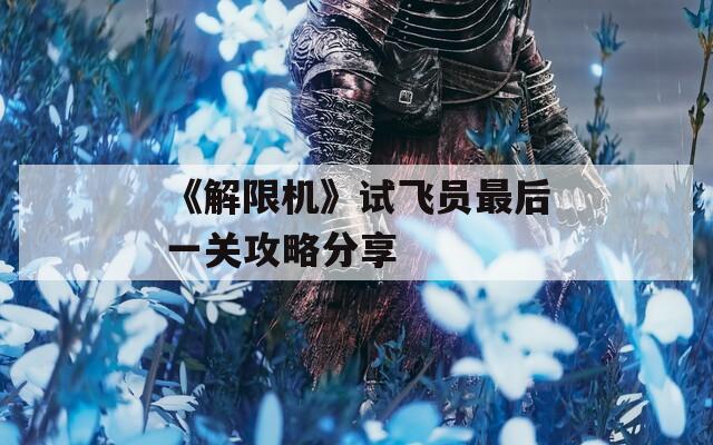 《解限机》试飞员最后一关攻略分享
