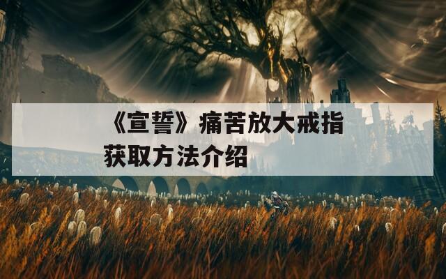 《宣誓》痛苦放大戒指获取方法介绍