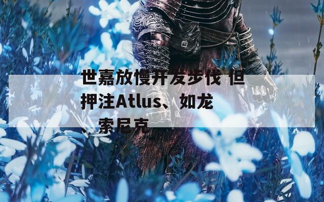 世嘉放慢开发步伐 但押注Atlus、如龙、索尼克  第1张